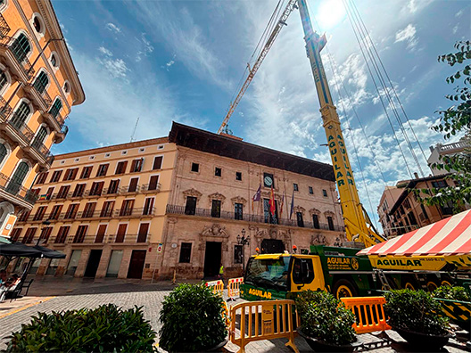 grua torre mòbil