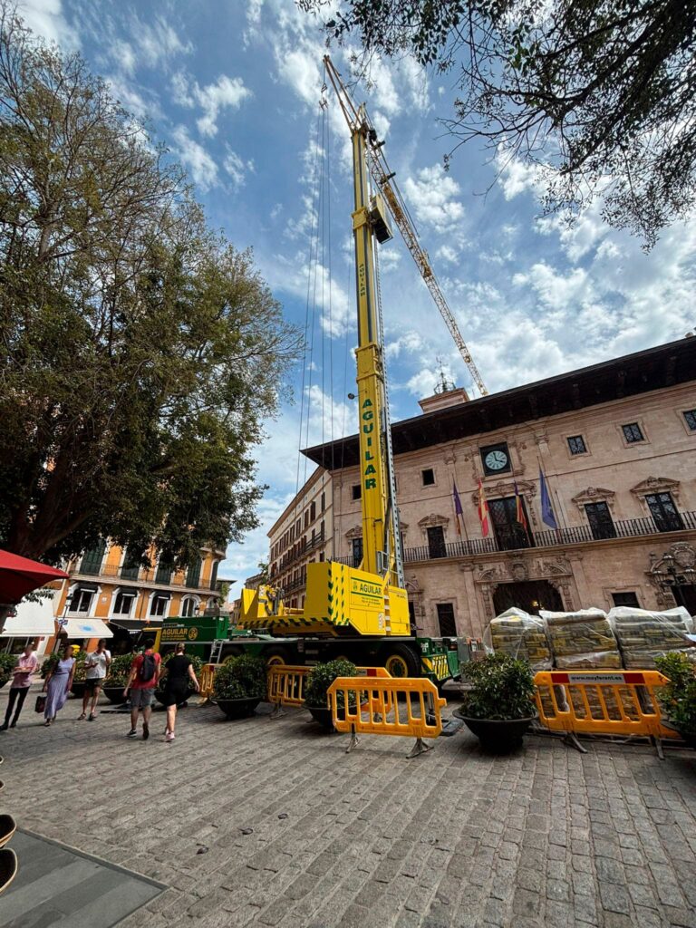 grues mòbils