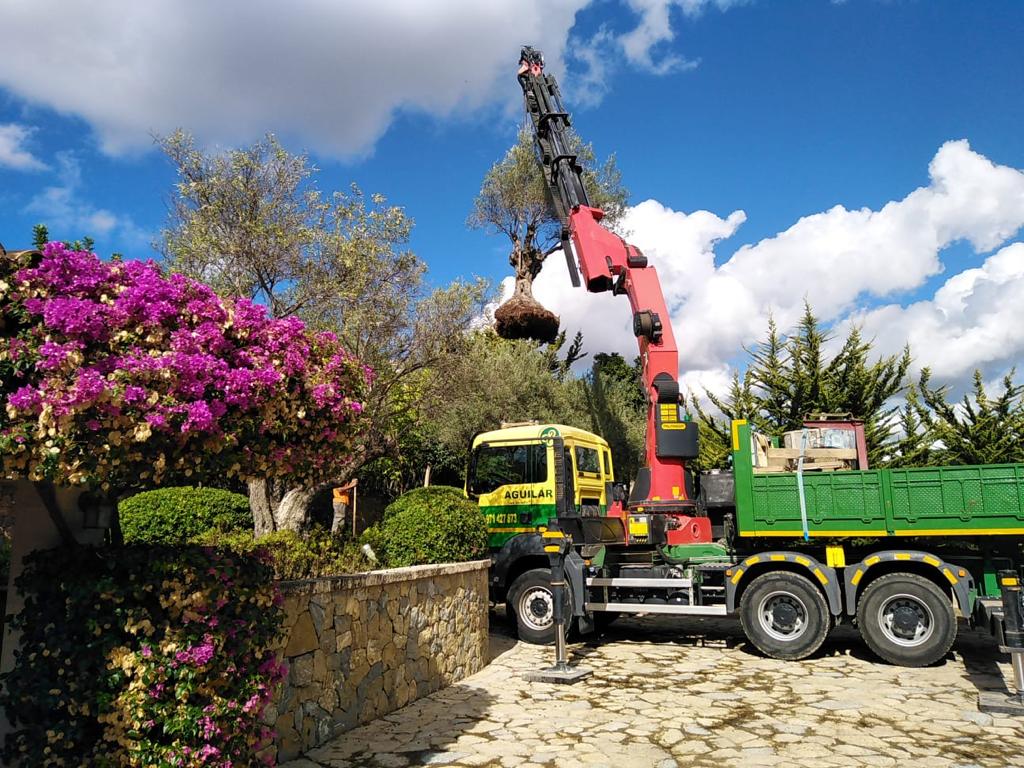 camio grua